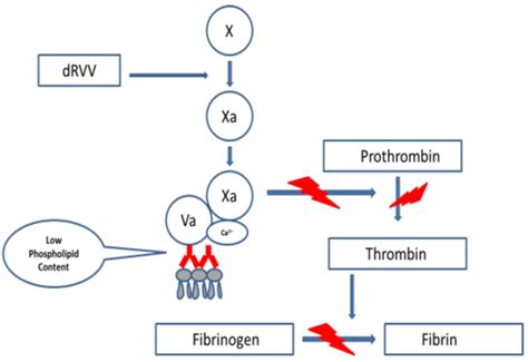 anticoagulant lupic bioclinica|Profil sindrom antifosfolipidic: Anticoagulant lupic,。